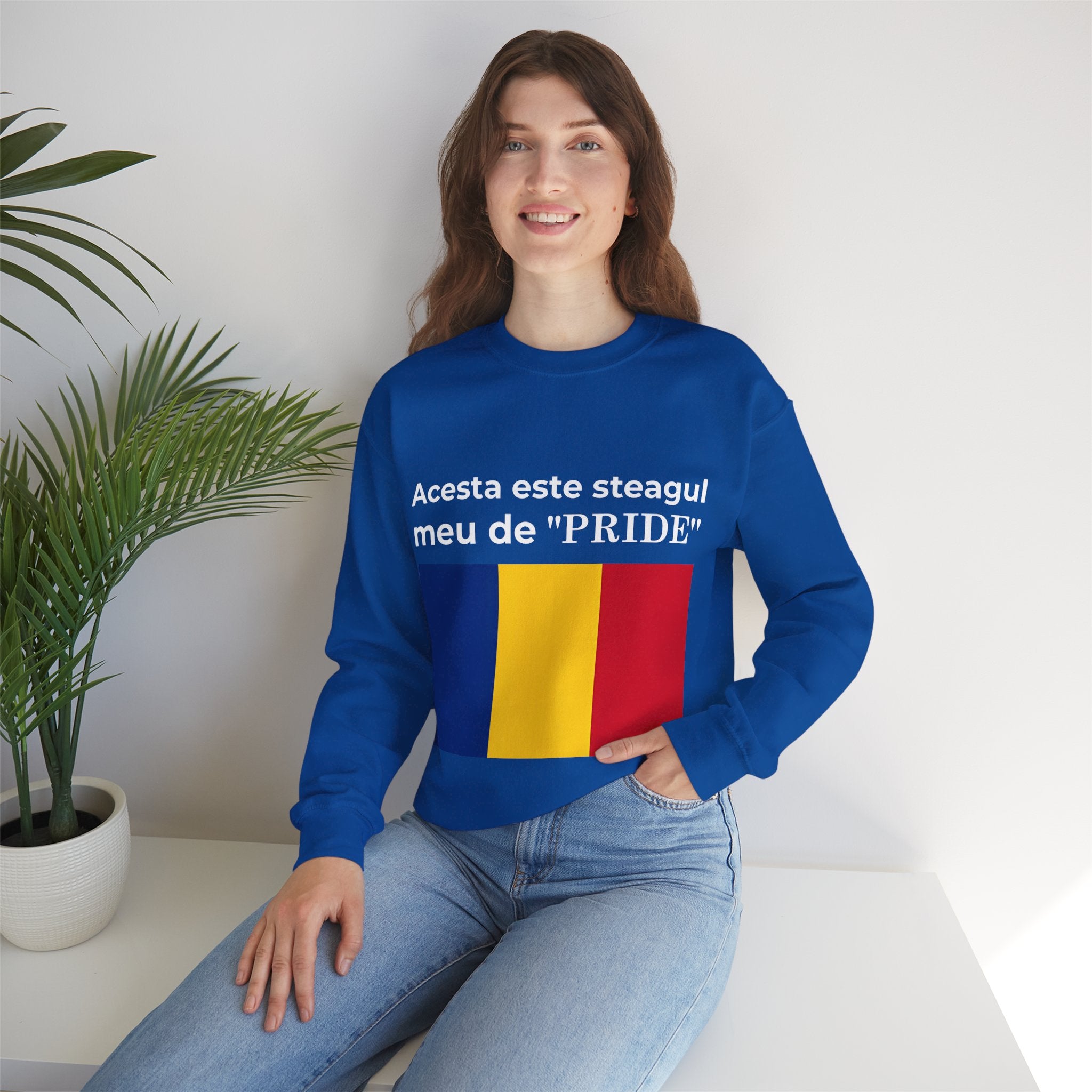 Romania Pride Sweatshirt, Cozy Crewneck Shirt, Unisex Pride Apparel, Casual Everyday Wear - Mega Movement
