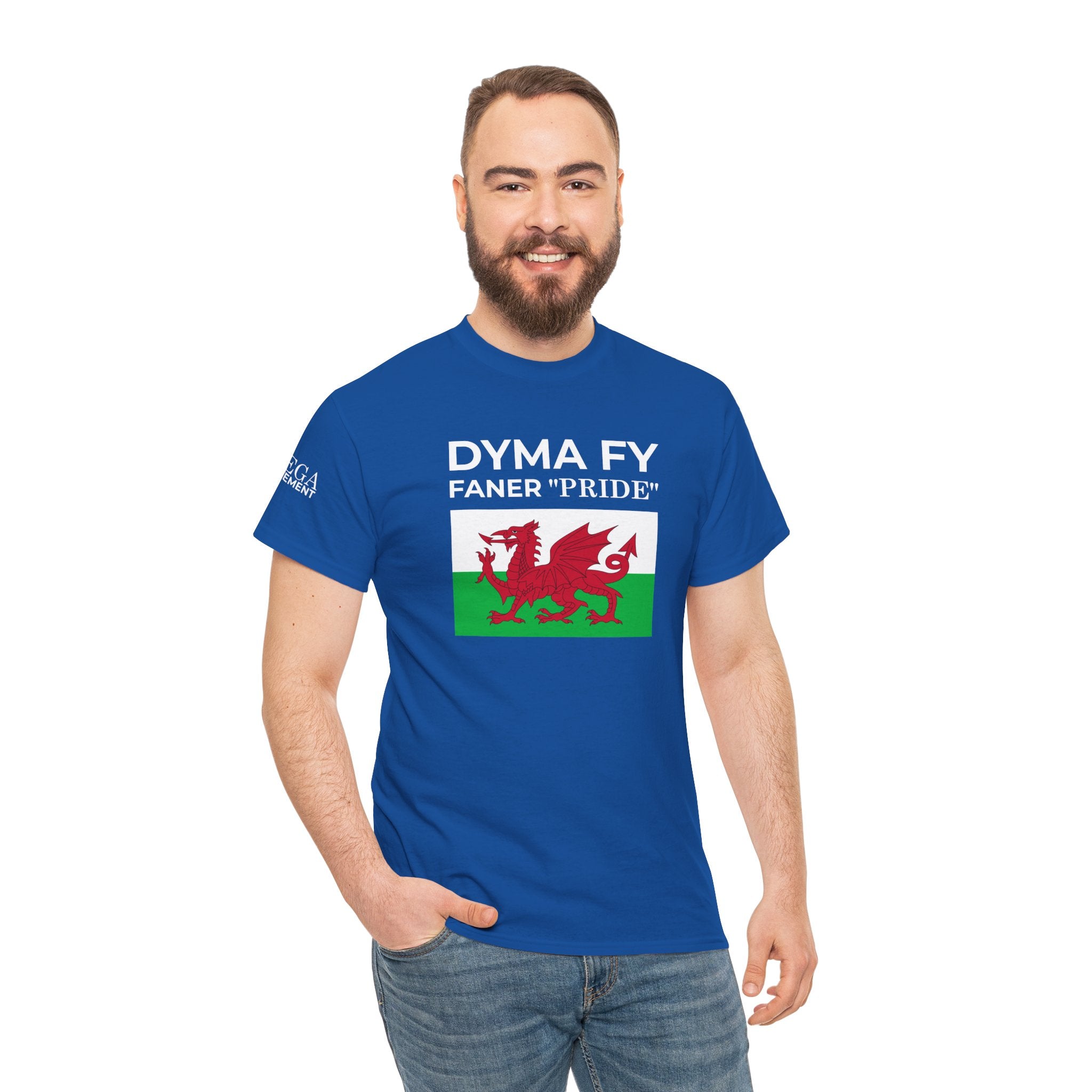 Welsh Pride T-Shirt ( Small Print ) — "Dyma Fy Faner 'Pride'" Welsh Flag Tee