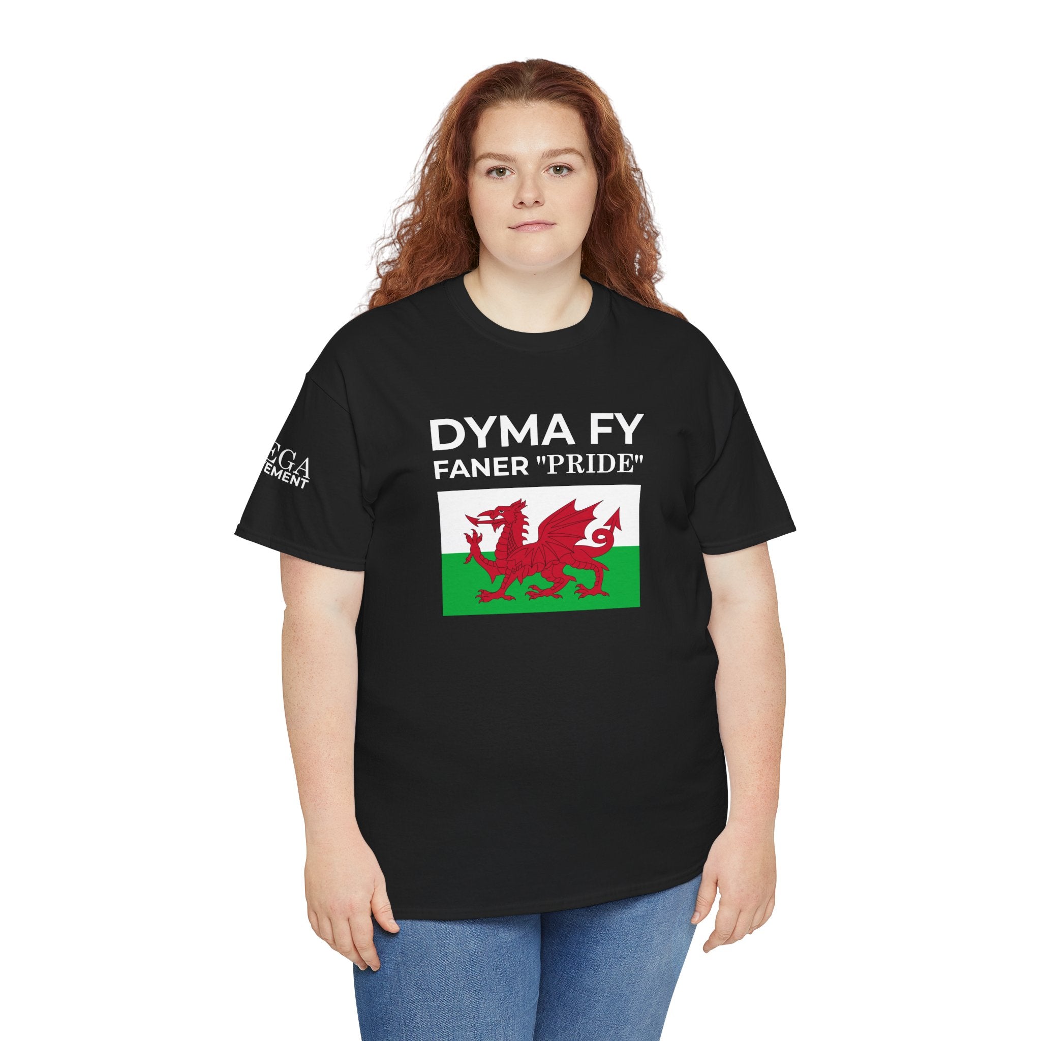 Welsh Pride T-Shirt ( Small Print ) — "Dyma Fy Faner 'Pride'" Welsh Flag Tee