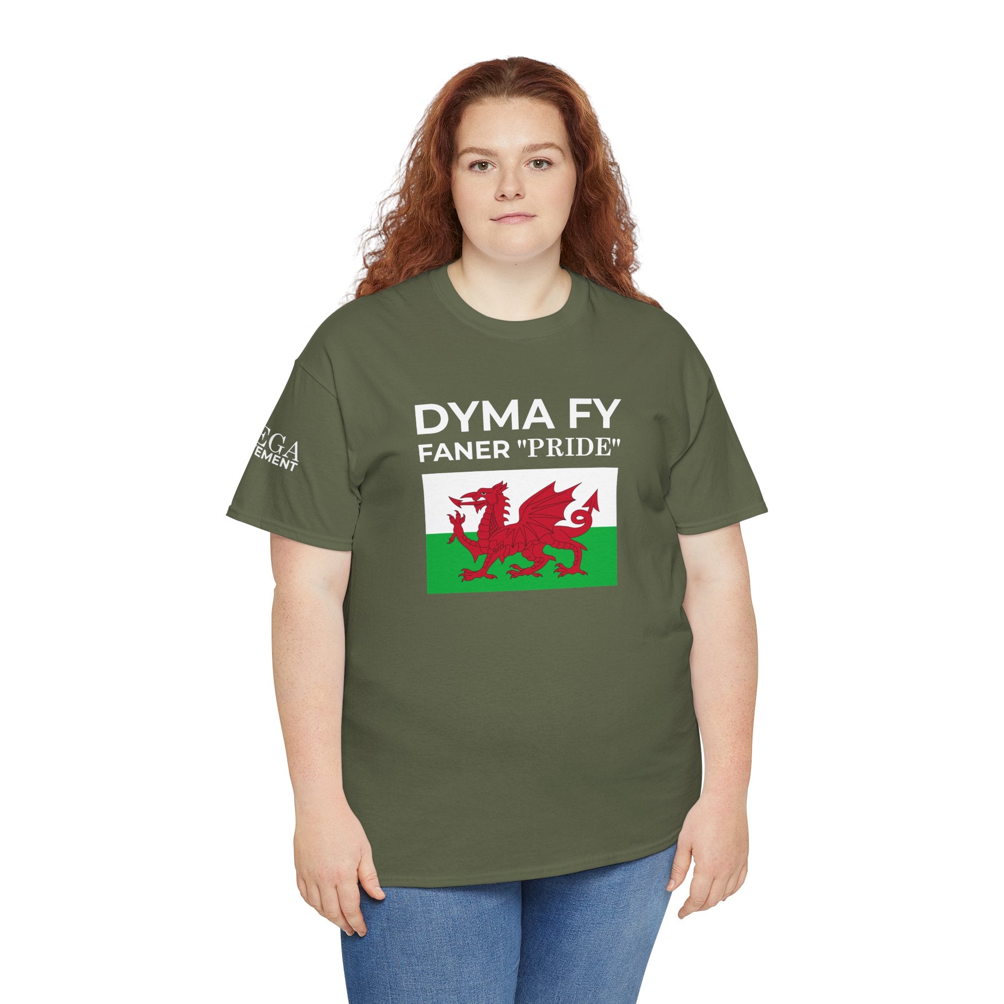 Welsh Pride T-Shirt ( Small Print ) — "Dyma Fy Faner 'Pride'" Welsh Flag Tee