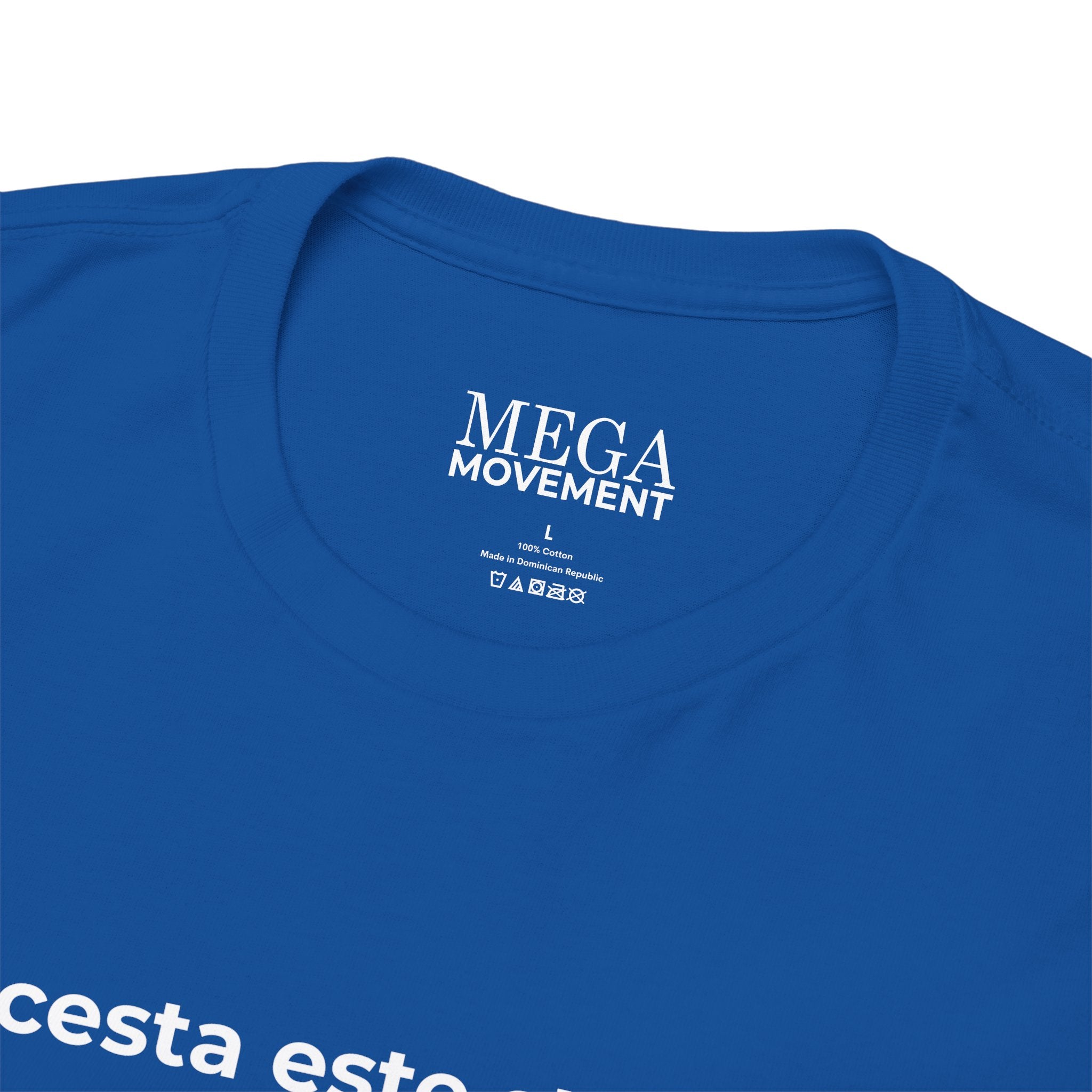 Romanian Flag Tee ( Small Print ) — "Acesta este steagul meu de 'PRIDE'" Cotton Shirt