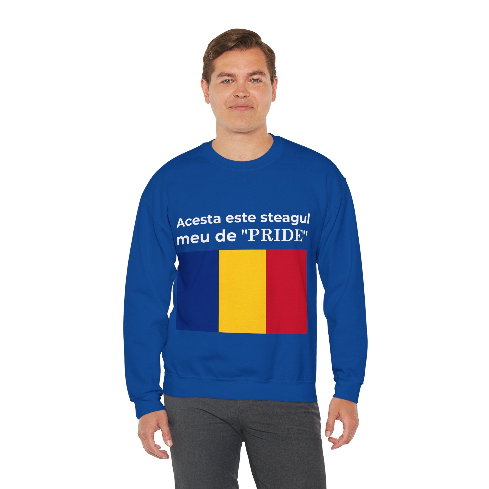 Romania Pride Sweatshirt, Cozy Crewneck Shirt, Unisex Pride Apparel, Casual Everyday Wear - Mega Movement