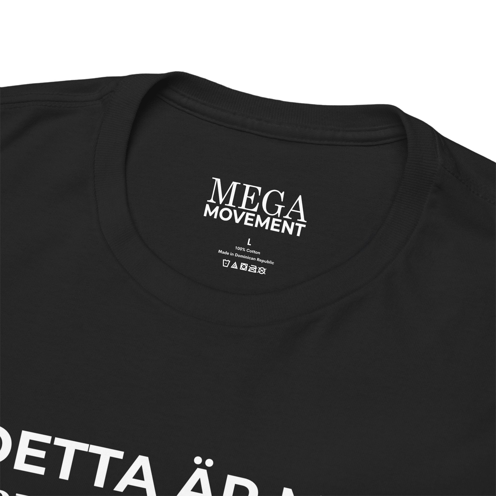 Sweden Pride T-Shirt ( Small Print ) — "Detta är min Pride-flagga" Tee
