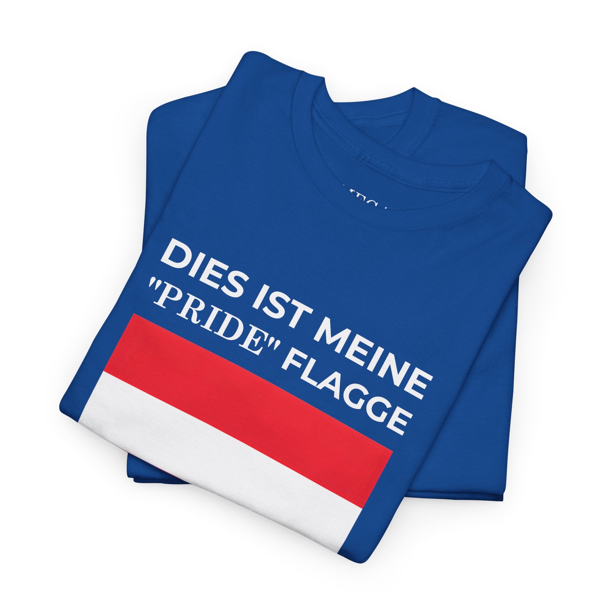 Pride Flag Tee — "This Is My 'Pride' Flag" Graphic T-Shirt