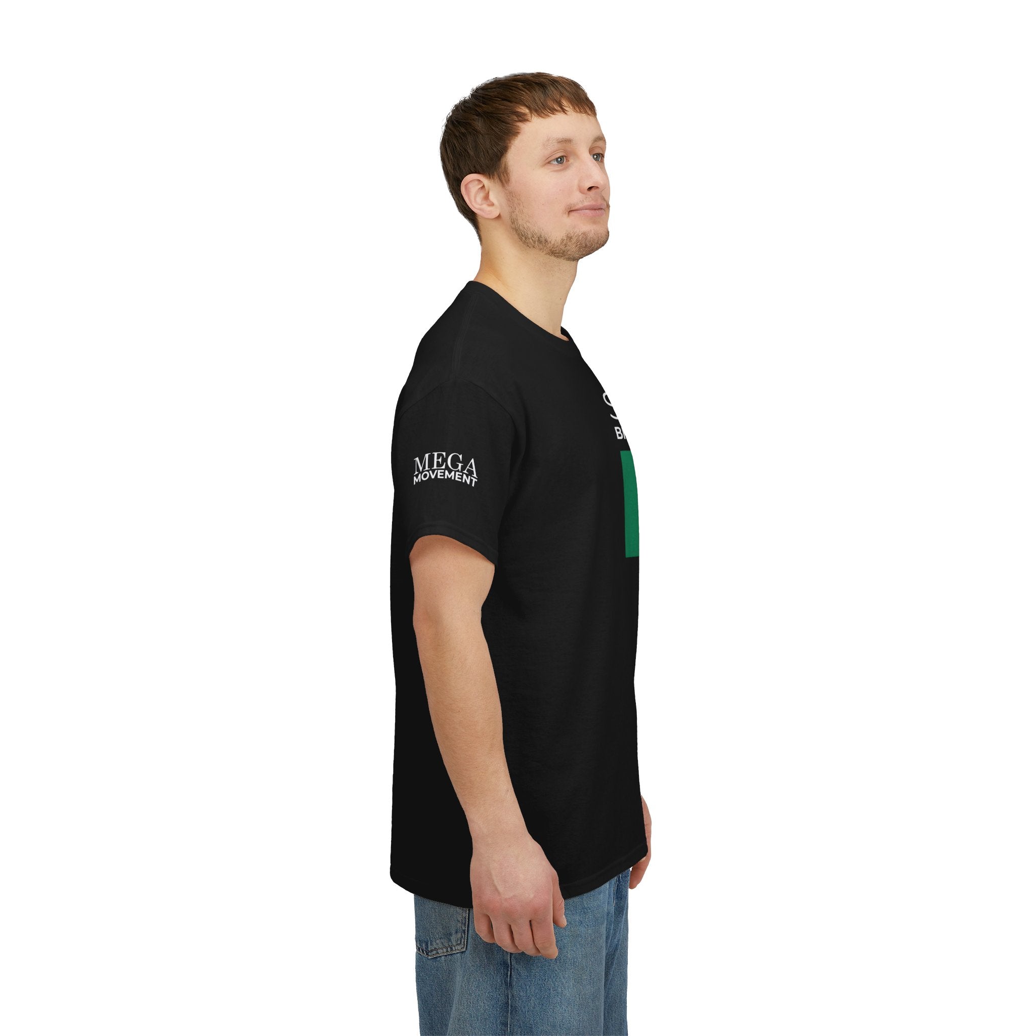 Seo Mo Bhratach Pride Irish Flag T-Shirt ( Small Print )