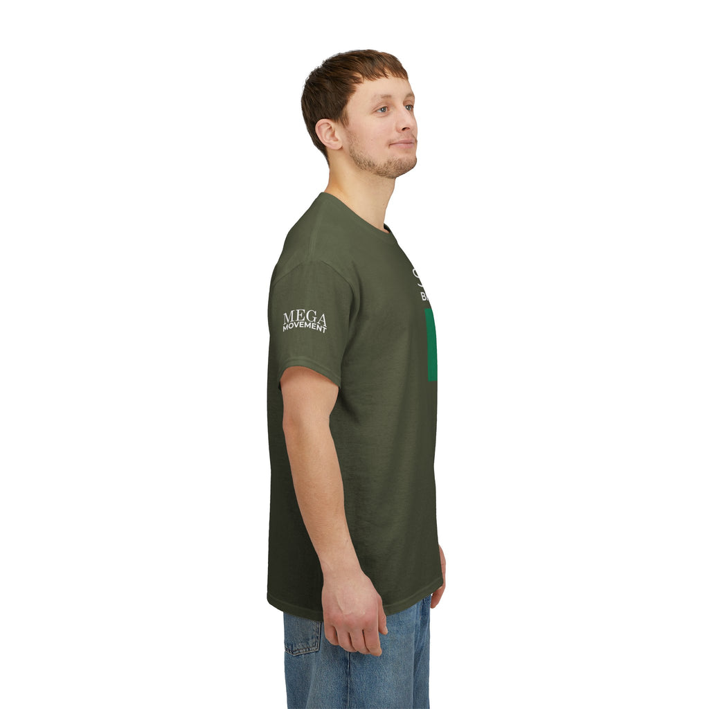 Seo Mo Bhratach Pride Irish Flag T-Shirt ( Small Print )
