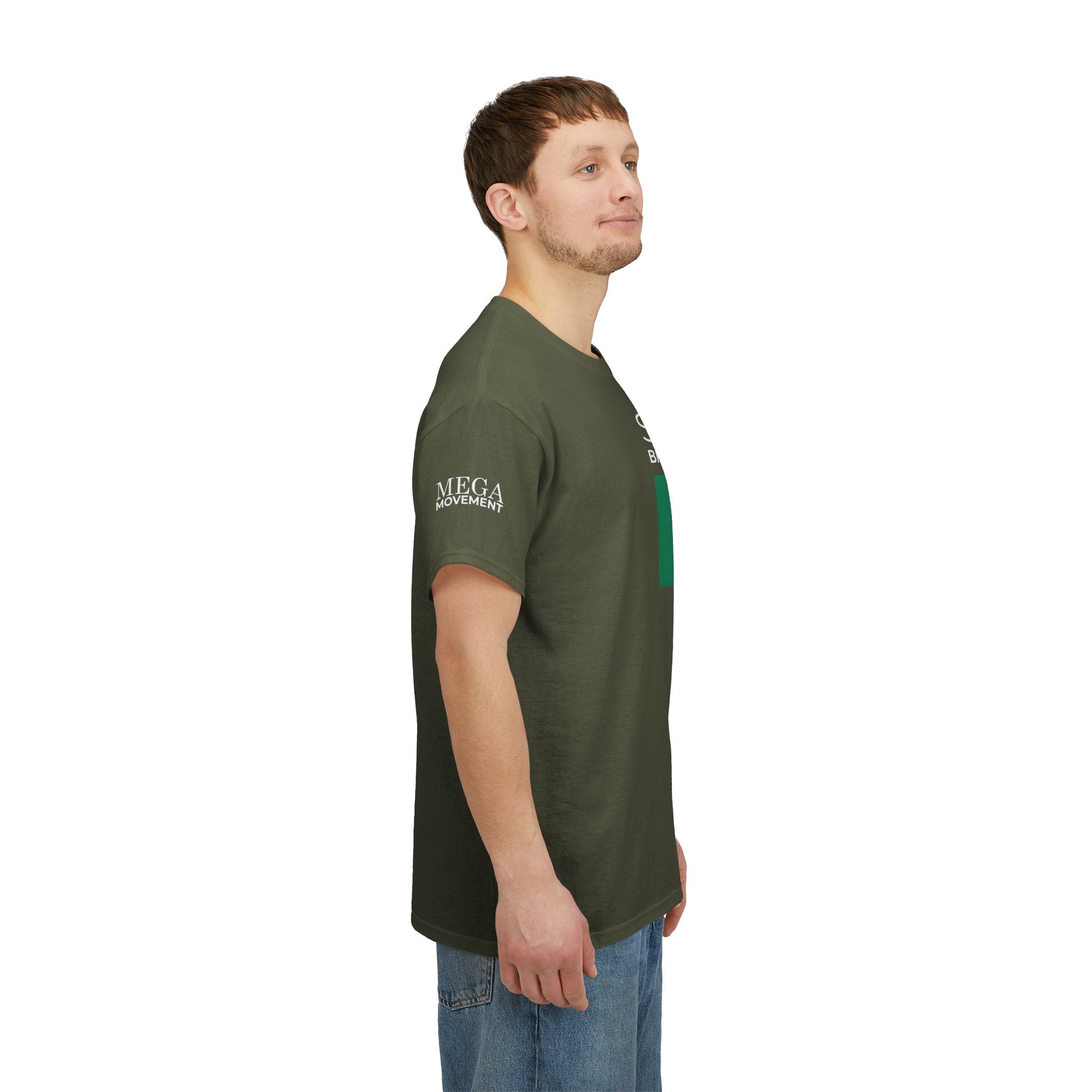 Seo Mo Bhratach Pride Irish Flag T-Shirt ( Small Print )