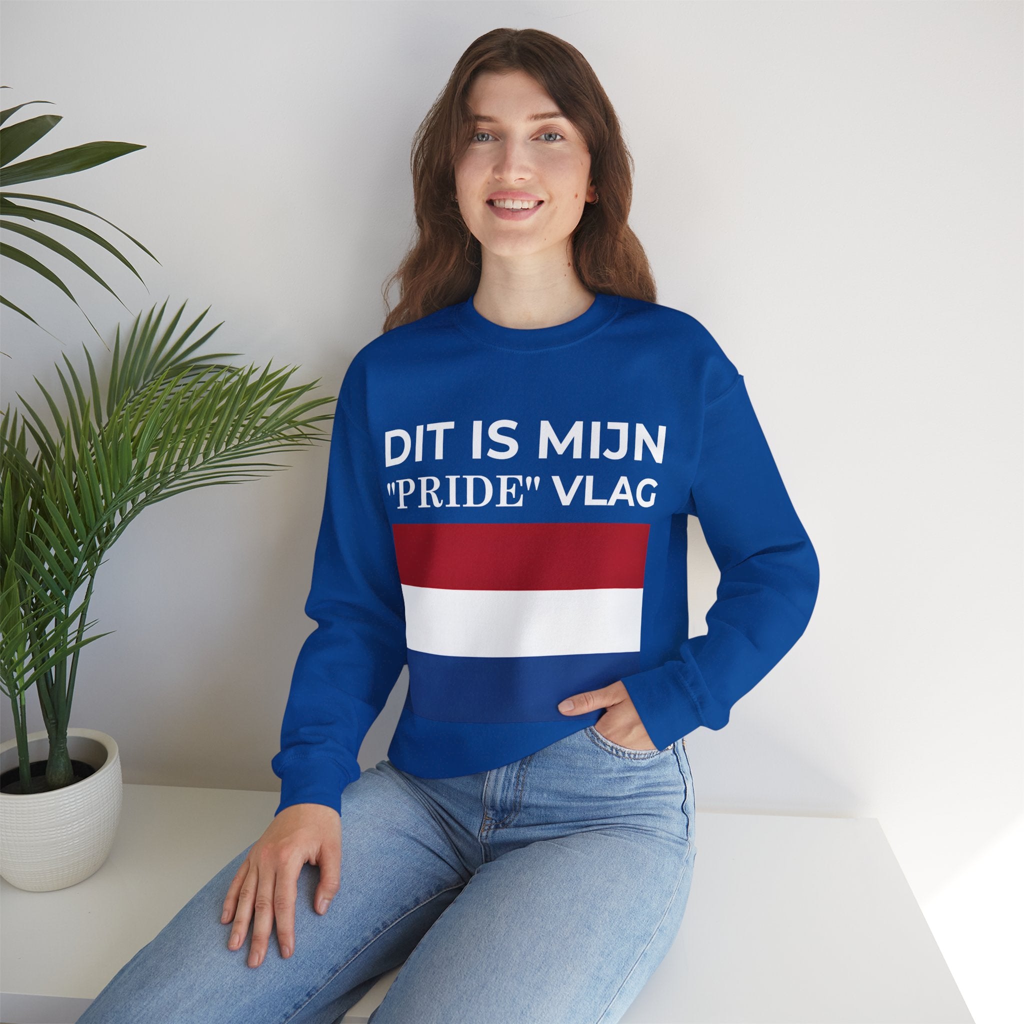 Netherland Pride Flag Crewneck Sweatshirt, Unisex Heavy Blend Sweatshirt, Gift, Comfortable Casual Wear, Celebrate [...] - Mega Movement