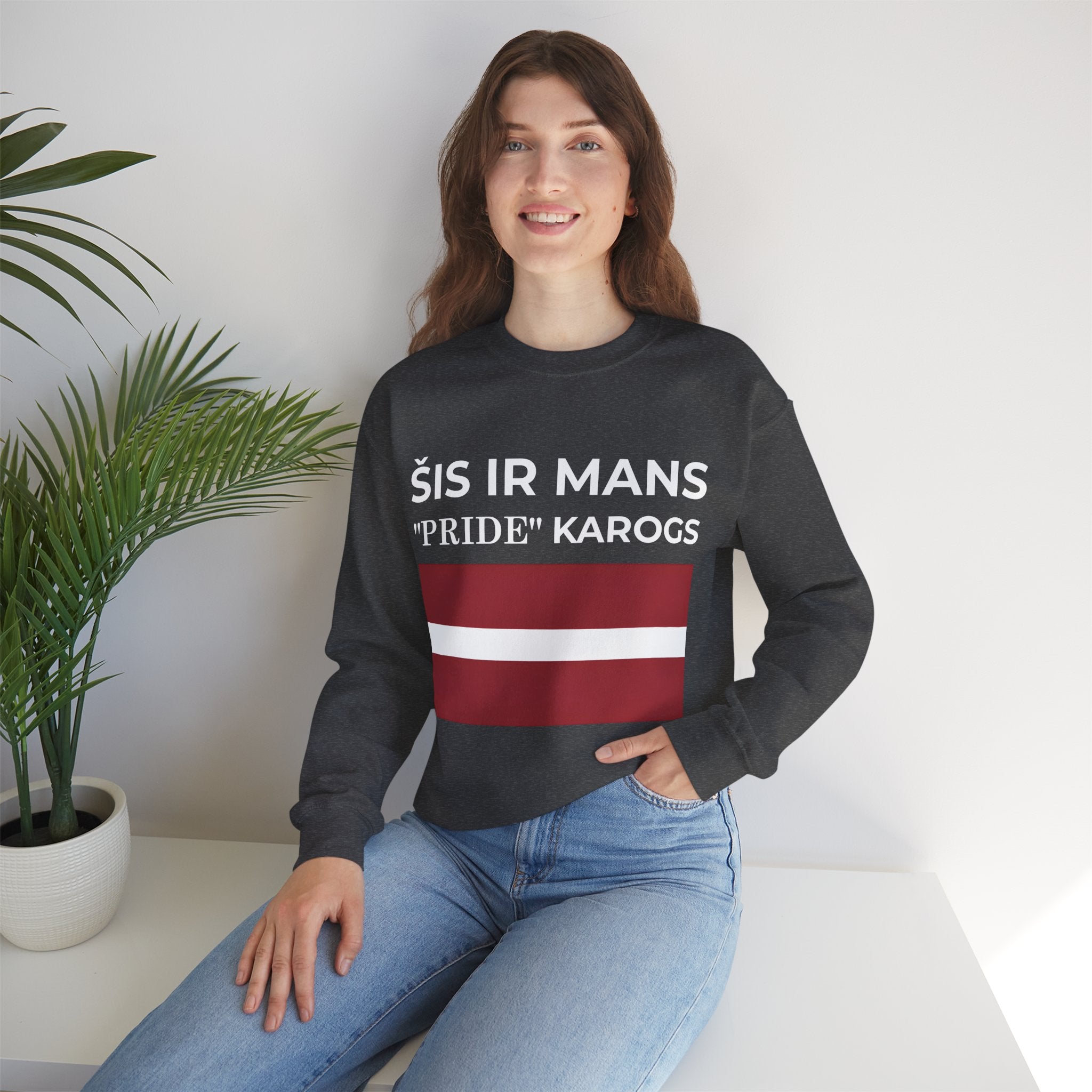Latvia Pride Flag Crewneck Sweatshirt, Unisex Sweatshirt, Comfortable Sweatshirt, Casual Wear - Mega Movement