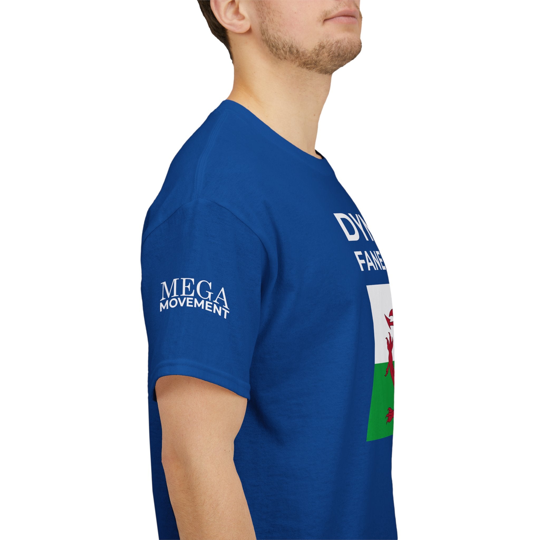 Welsh Pride T-Shirt ( Small Print ) — "Dyma Fy Faner 'Pride'" Welsh Flag Tee