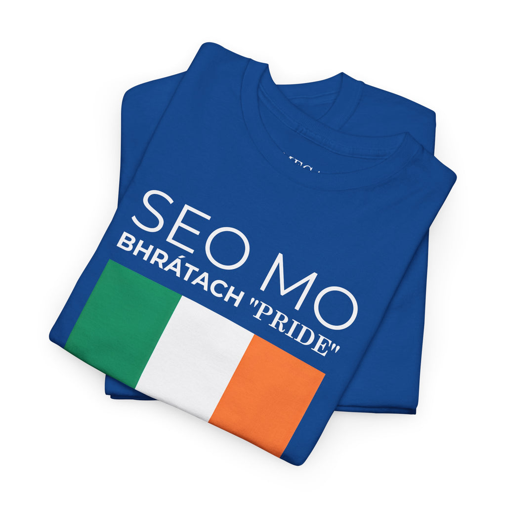 Seo Mo Bhratach Pride Irish Flag T-Shirt ( Small Print )