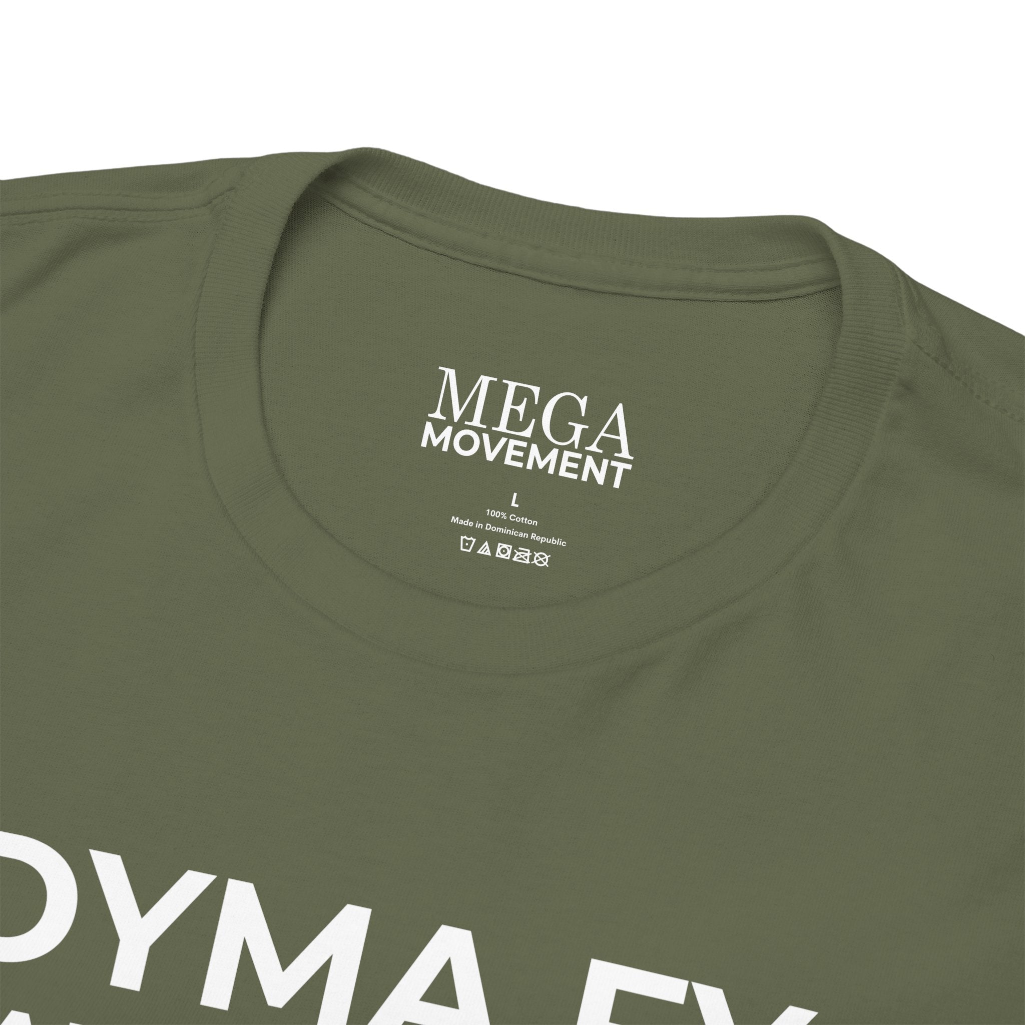 Welsh Pride T-Shirt ( Small Print ) — "Dyma Fy Faner 'Pride'" Welsh Flag Tee