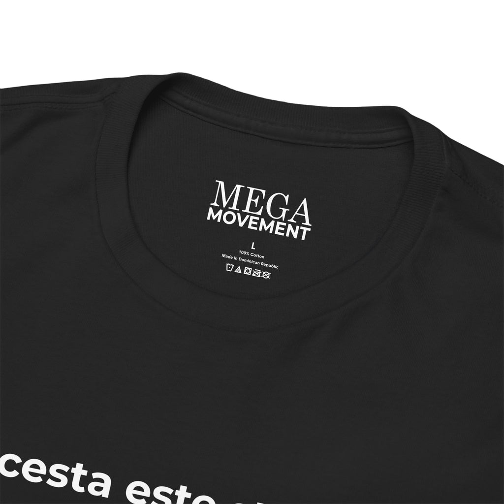 Romanian Flag Tee ( Small Print ) — "Acesta este steagul meu de 'PRIDE'" Cotton Shirt
