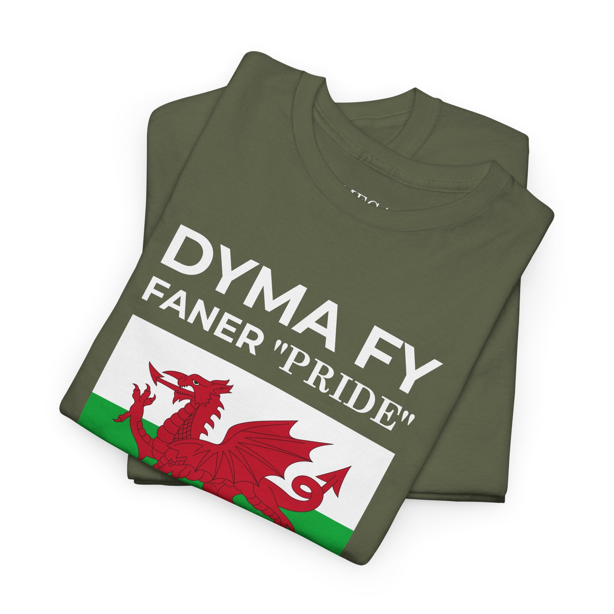 Welsh Pride T-Shirt ( Small Print ) — "Dyma Fy Faner 'Pride'" Welsh Flag Tee