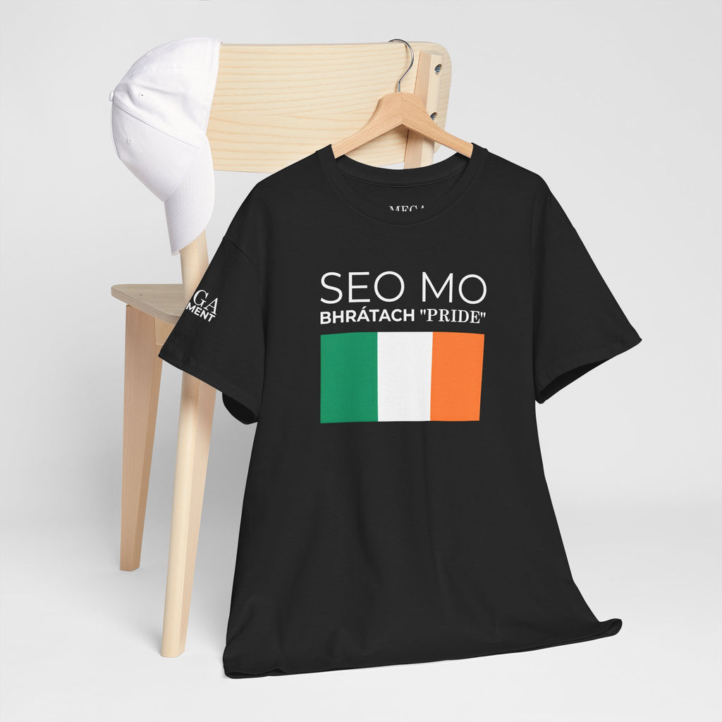 Seo Mo Bhratach Pride Irish Flag T-Shirt ( Small Print )