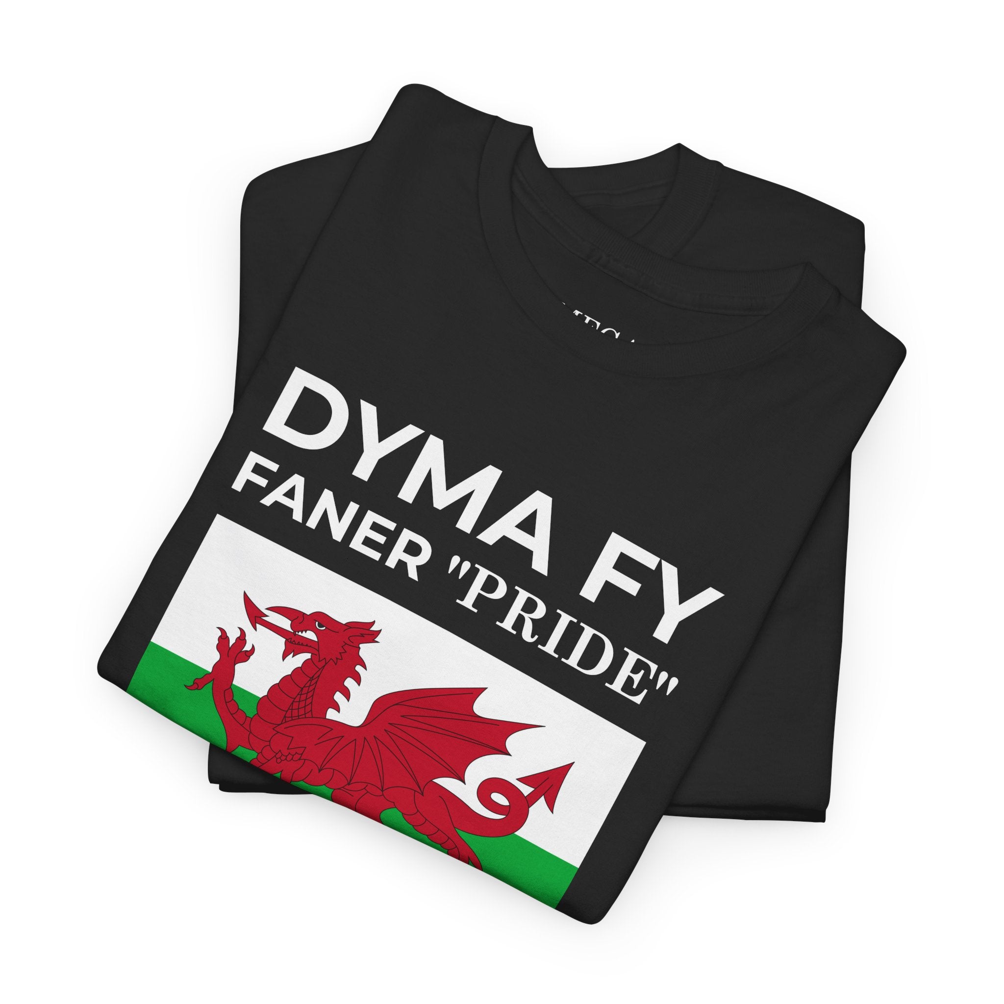Welsh Pride T-Shirt ( Small Print ) — "Dyma Fy Faner 'Pride'" Welsh Flag Tee