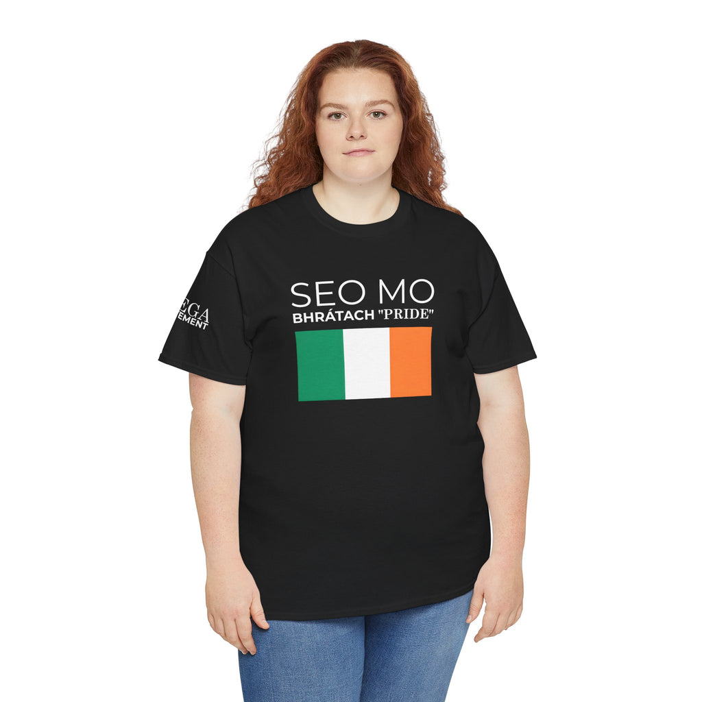 Seo Mo Bhratach Pride Irish Flag T-Shirt ( Small Print )