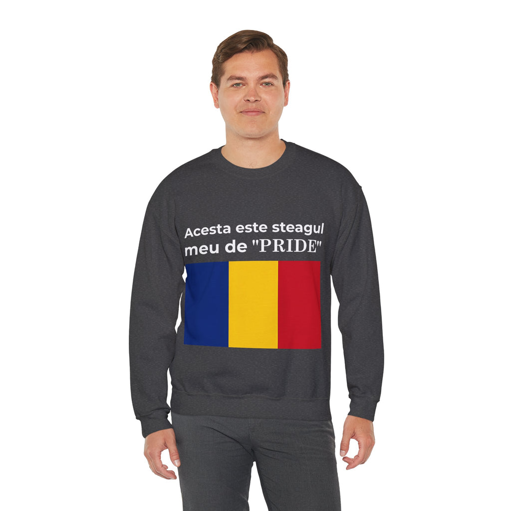 Romania Pride Sweatshirt, Cozy Crewneck Shirt, Unisex Pride Apparel, Casual Everyday Wear - Mega Movement