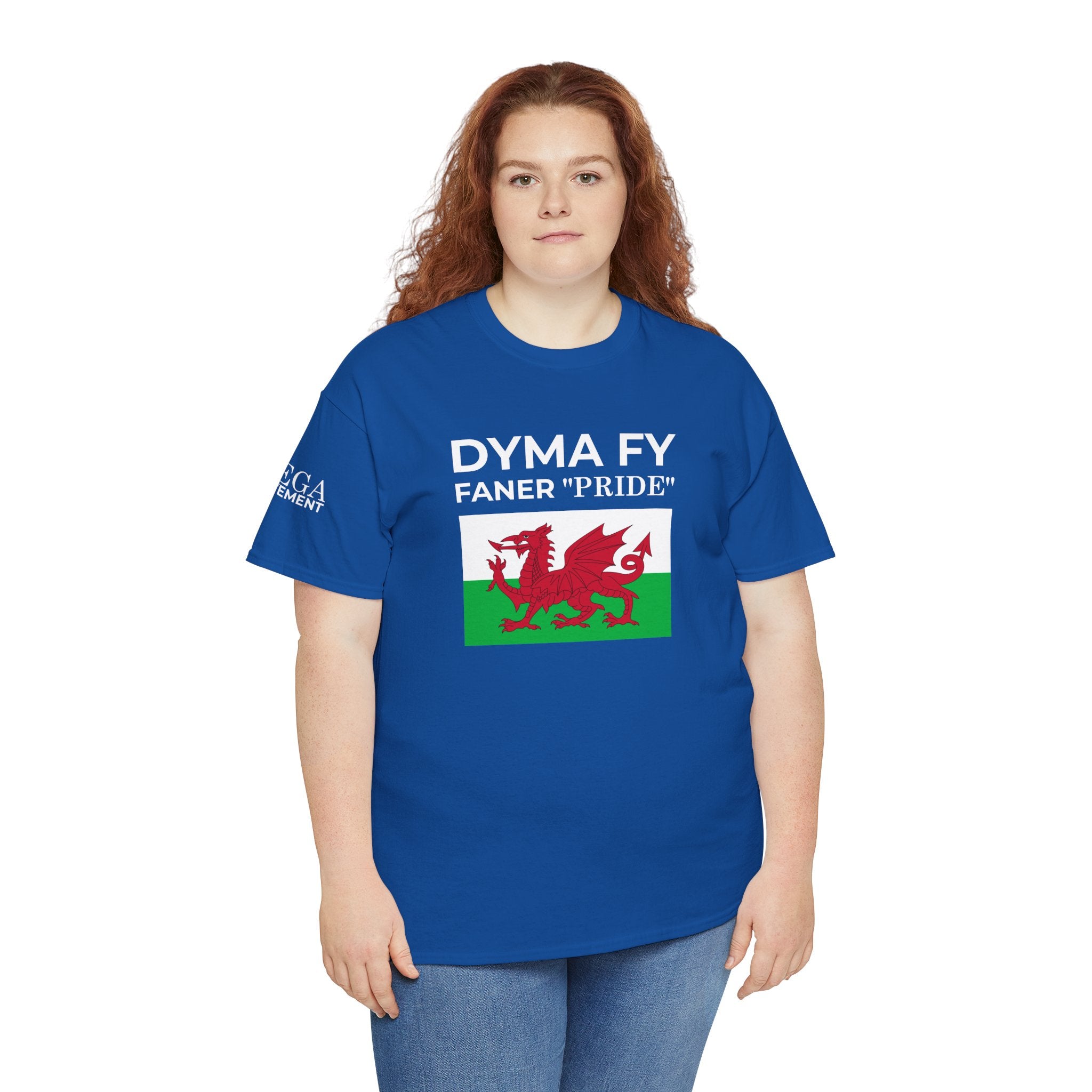 Welsh Pride T-Shirt ( Small Print ) — "Dyma Fy Faner 'Pride'" Welsh Flag Tee