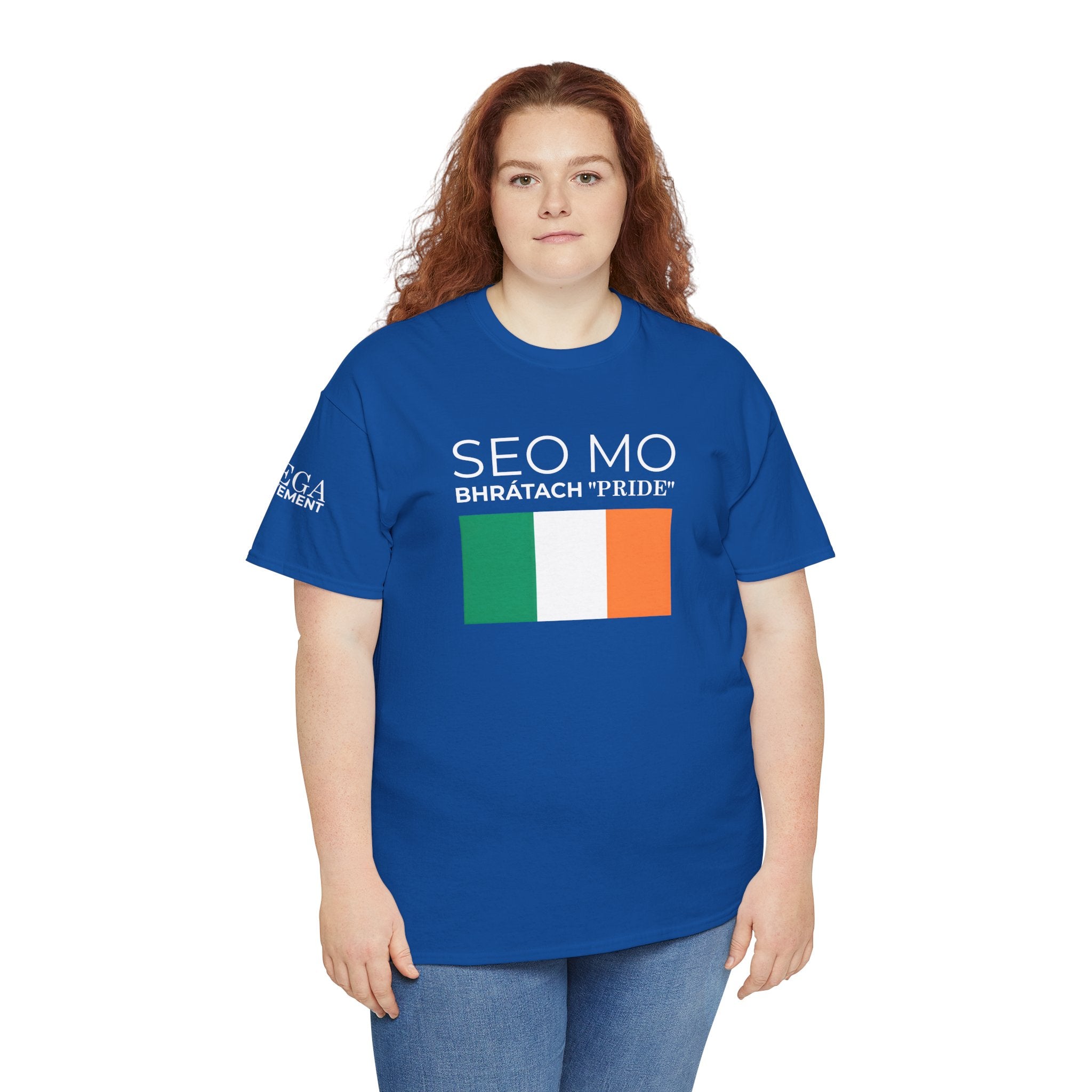 Seo Mo Bhratach Pride Irish Flag T-Shirt ( Small Print )