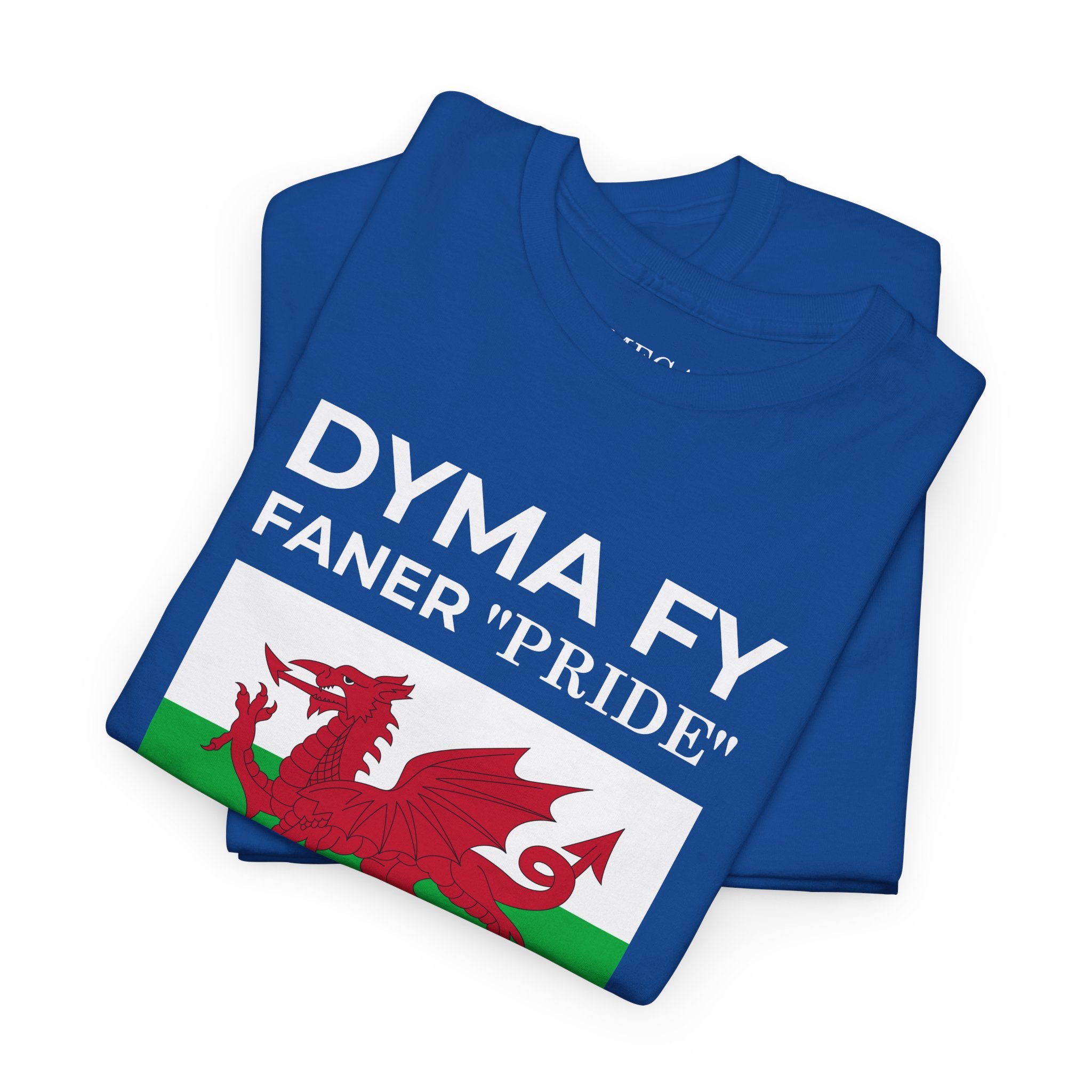 Welsh Pride T-Shirt ( Small Print ) — "Dyma Fy Faner 'Pride'" Welsh Flag Tee