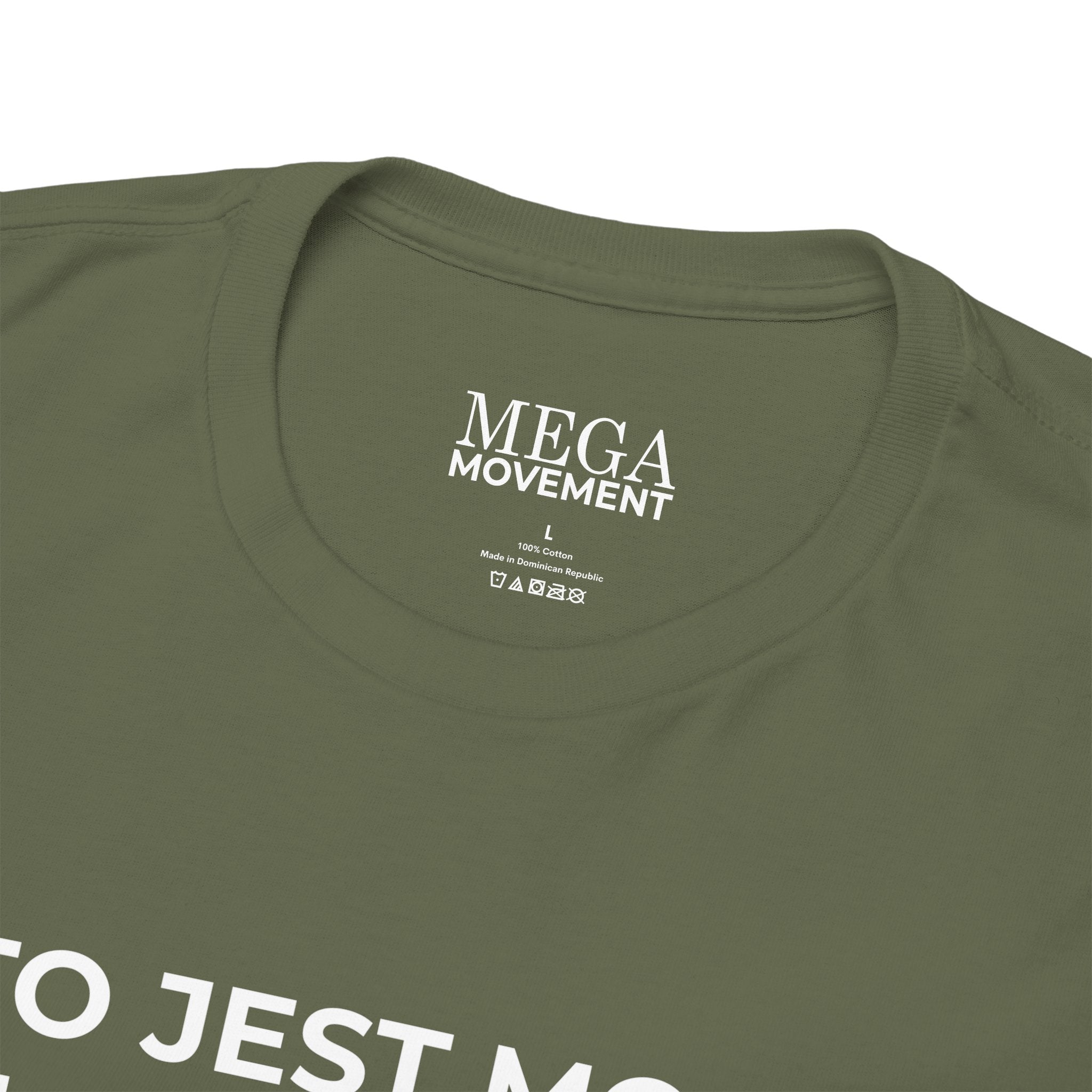 Polish Flag Tee ( Small Print ) — "To Jest Moja Flaga 'Pride'" Graphic T-Shirt