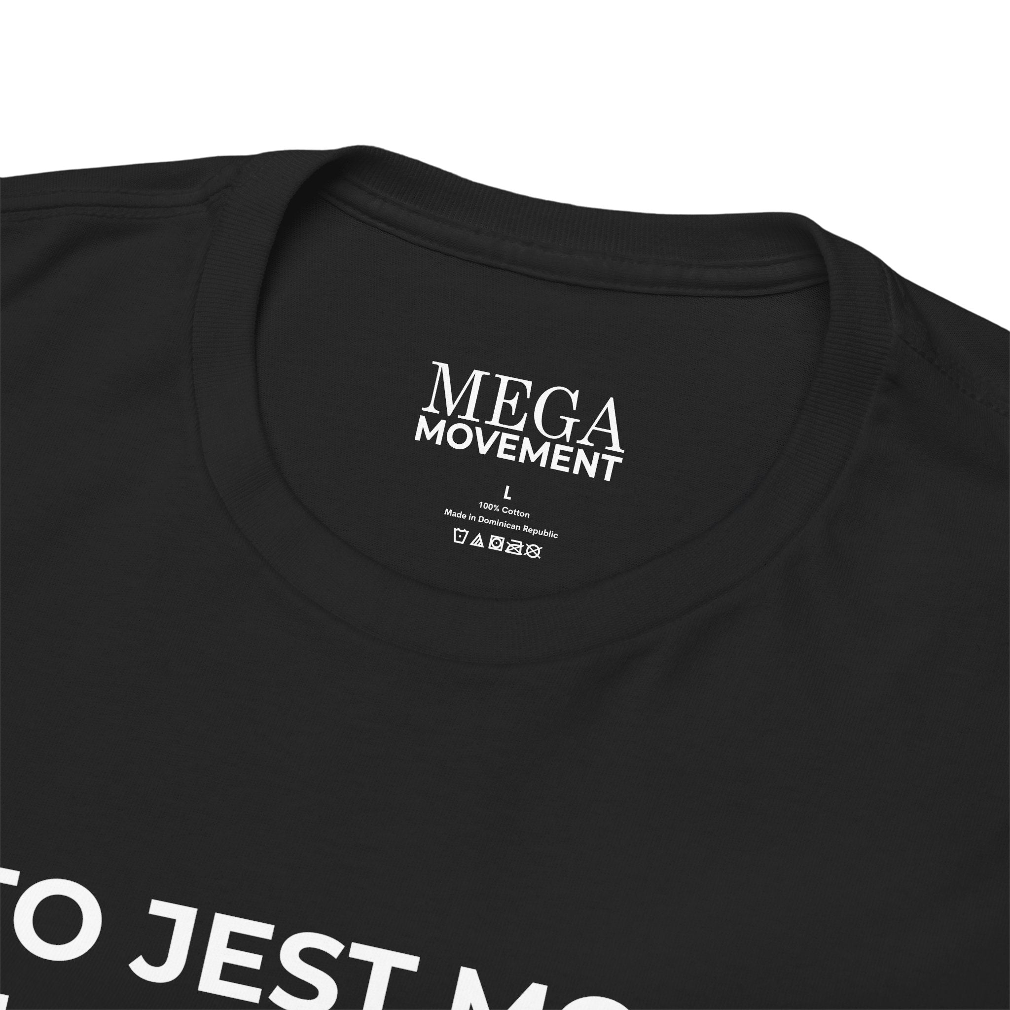 Polish Flag Tee ( Small Print ) — "To Jest Moja Flaga 'Pride'" Graphic T-Shirt