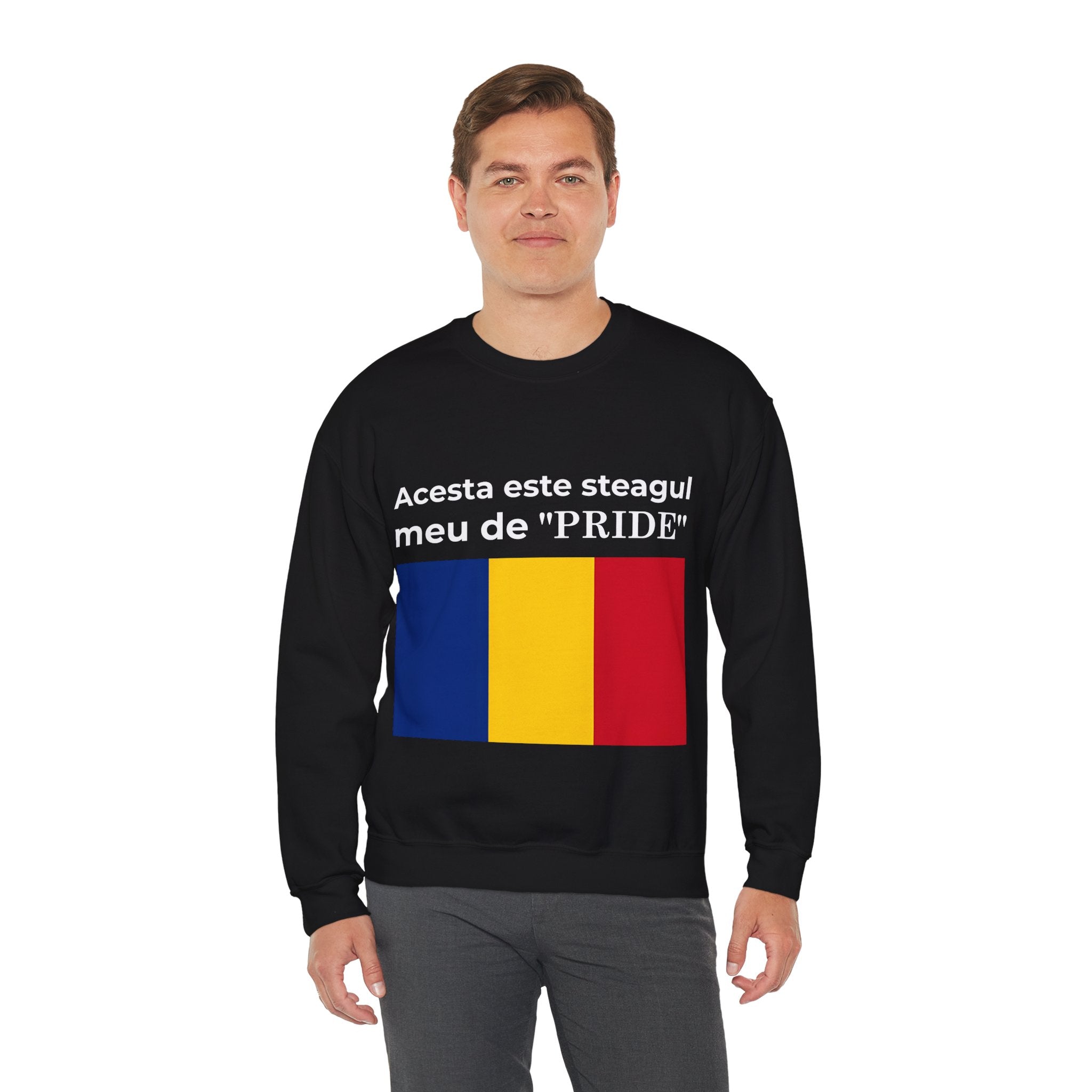 Romania Pride Sweatshirt, Cozy Crewneck Shirt, Unisex Pride Apparel, Casual Everyday Wear - Mega Movement