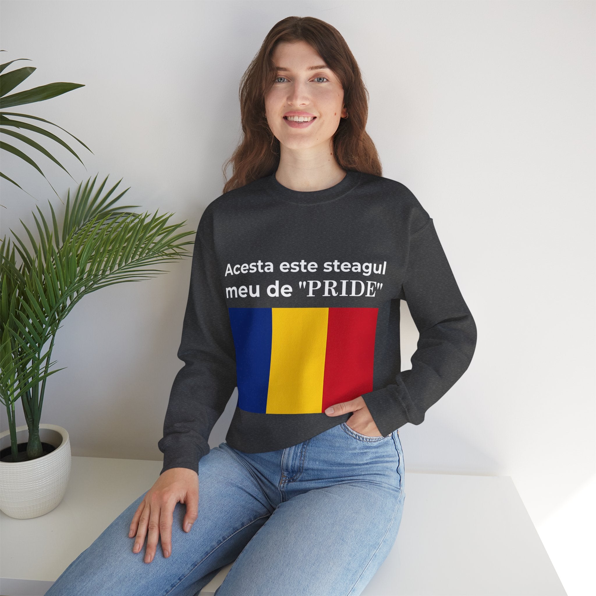 Romania Pride Sweatshirt, Cozy Crewneck Shirt, Unisex Pride Apparel, Casual Everyday Wear - Mega Movement